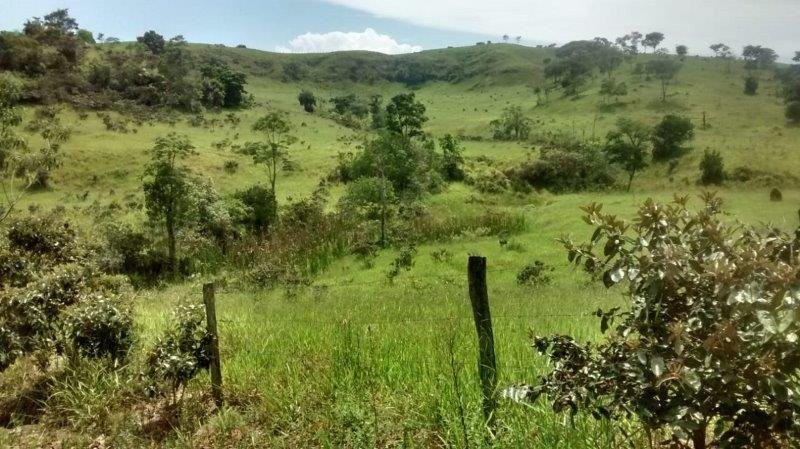 Sítio - 16 Alqueires em Taubaté/SP