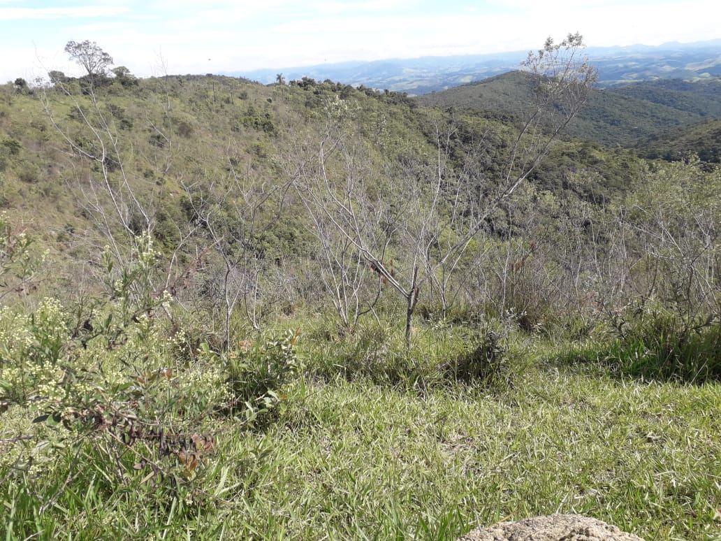 Fazenda - 60 alqueires em São Luiz do Paraitinga/SP
