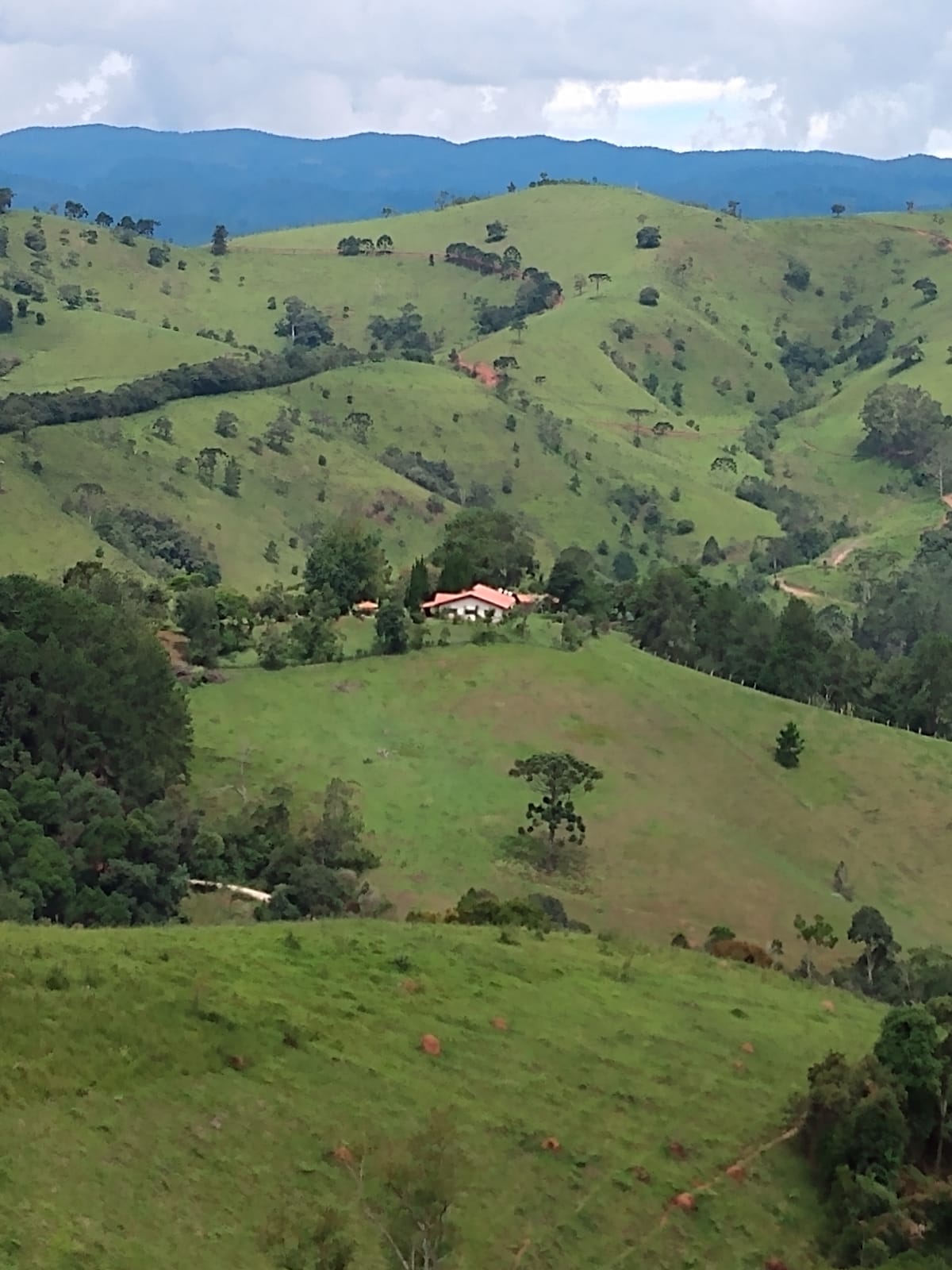 Sítio - 70 hectares ou 30 alqueires paulista em Piranguçu/MG