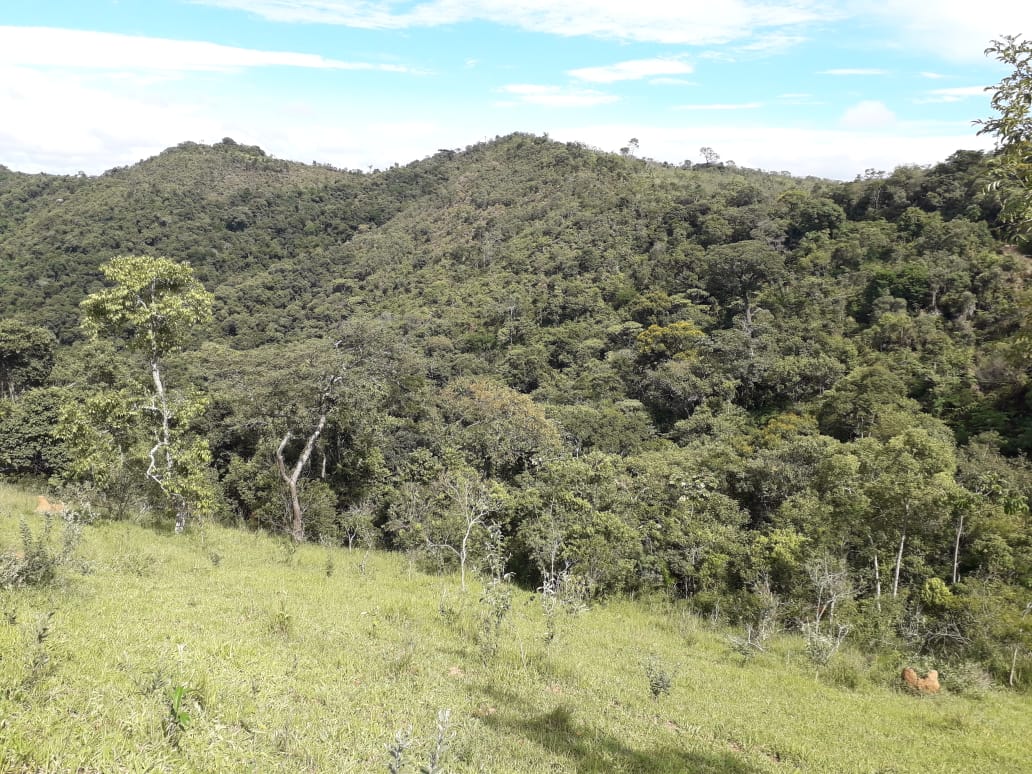 Fazenda - 66 alqueires em São Luiz do Paraitinga/SP