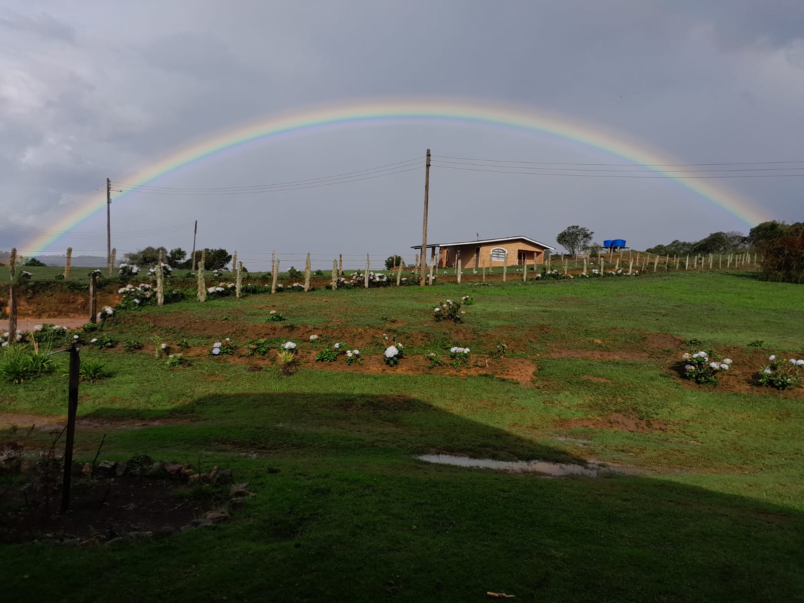 Fazenda - 79,5 alqueires  em Delfim Moreira/MG