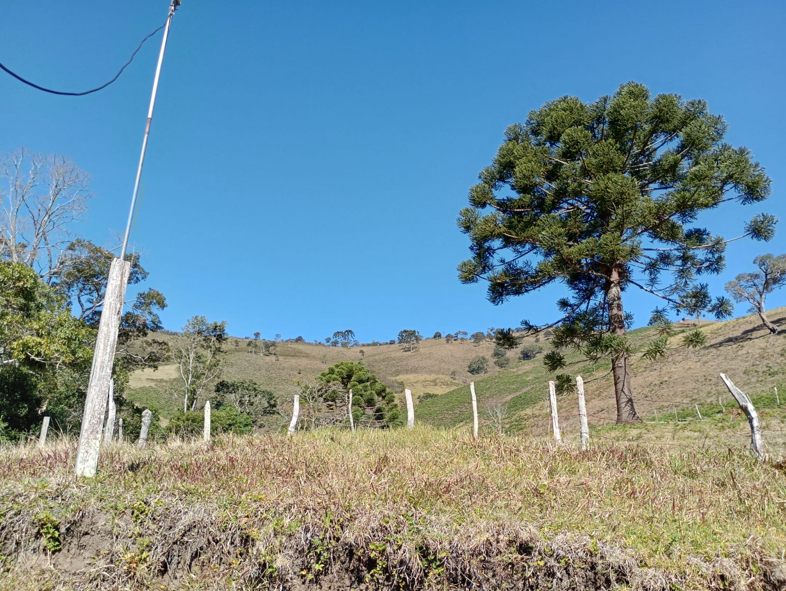 Sítio - 15 alqueires em Cunha/SP