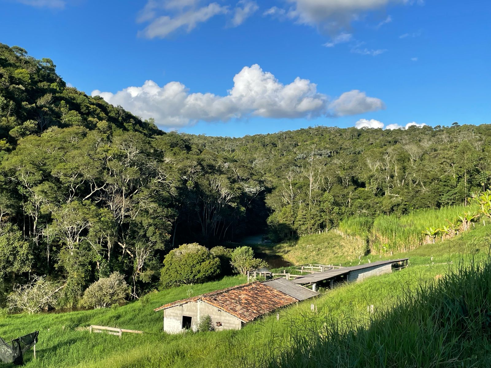 Sítio - 7 alqueires  em Redenção da Serra/SP