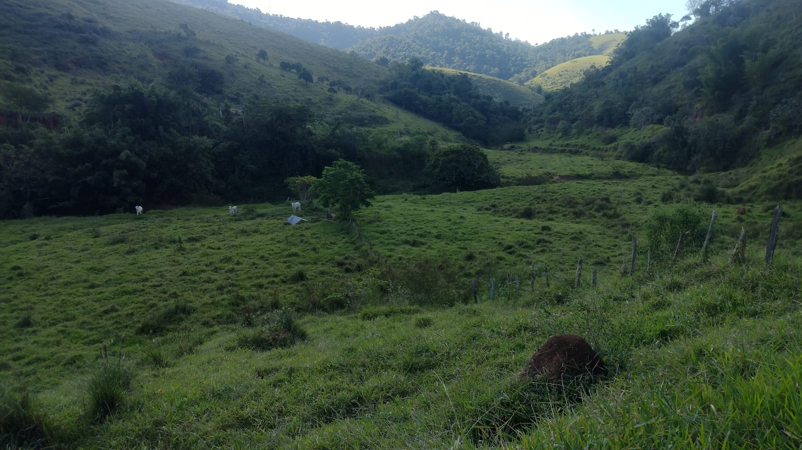 Fazenda - 120 alqueires  em Taubaté/SP